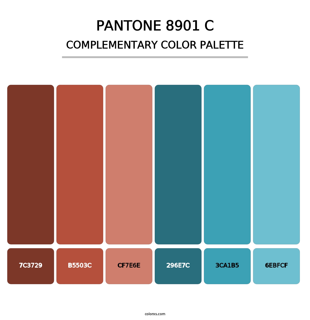 PANTONE 8901 C - Complementary Color Palette