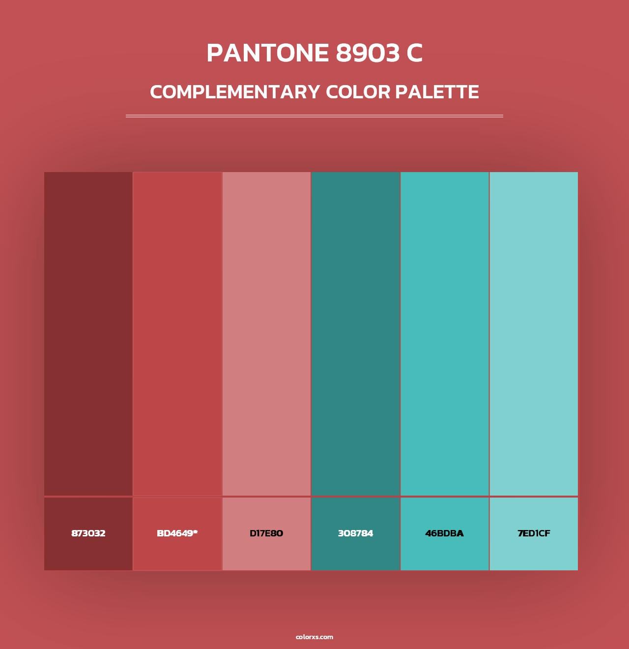 PANTONE 8903 C - Complementary Color Palette