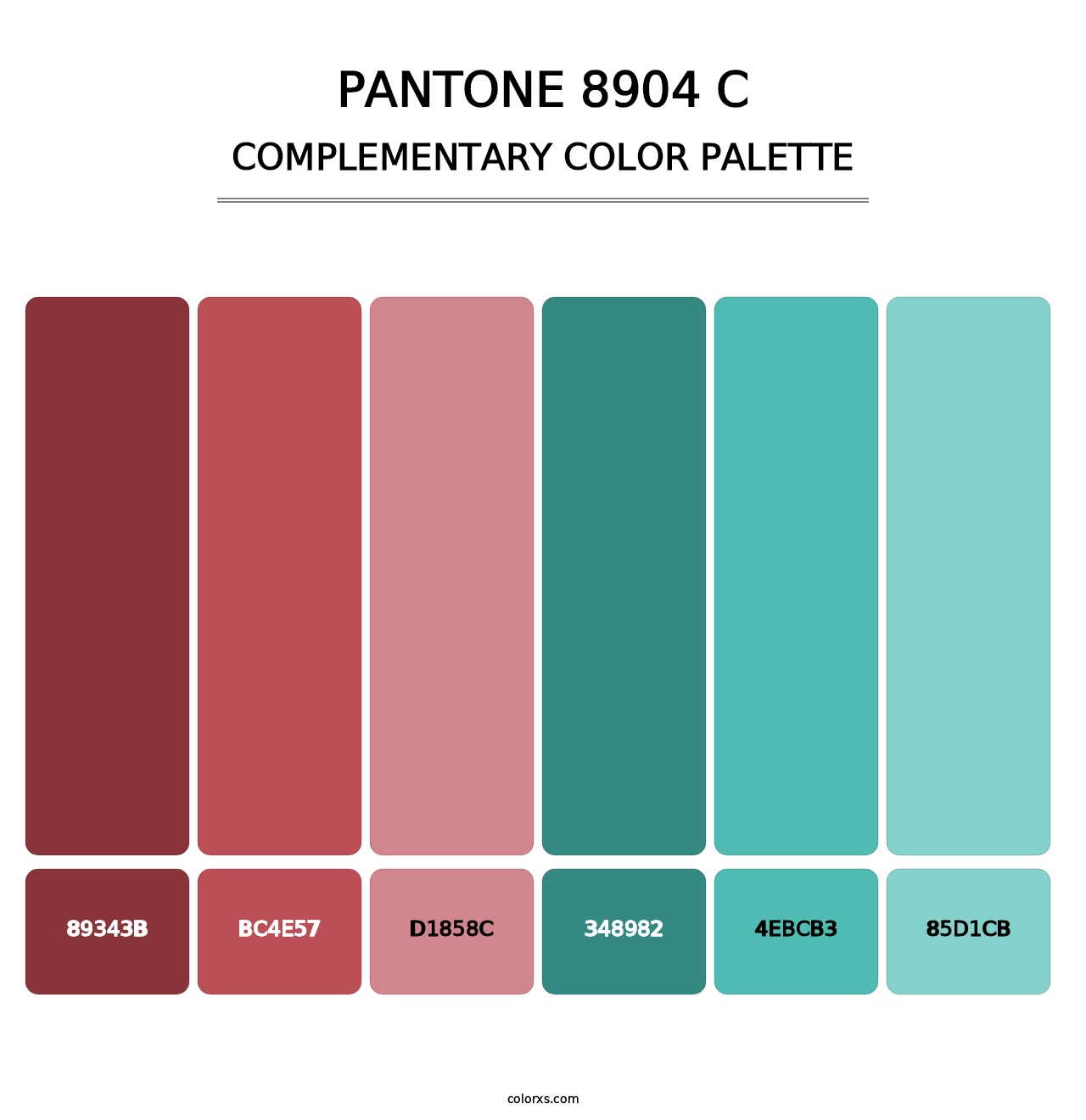 PANTONE 8904 C - Complementary Color Palette