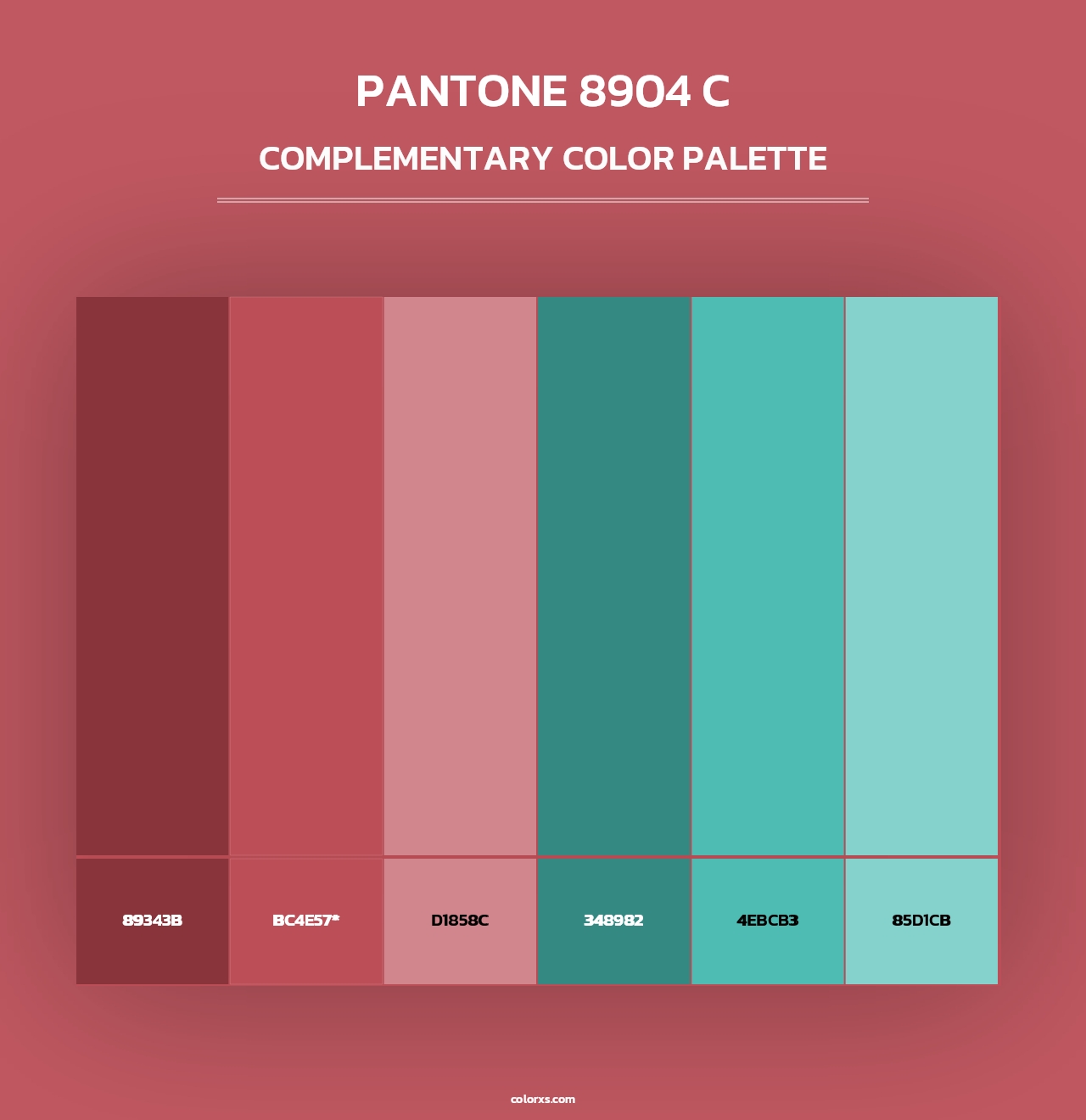 PANTONE 8904 C - Complementary Color Palette
