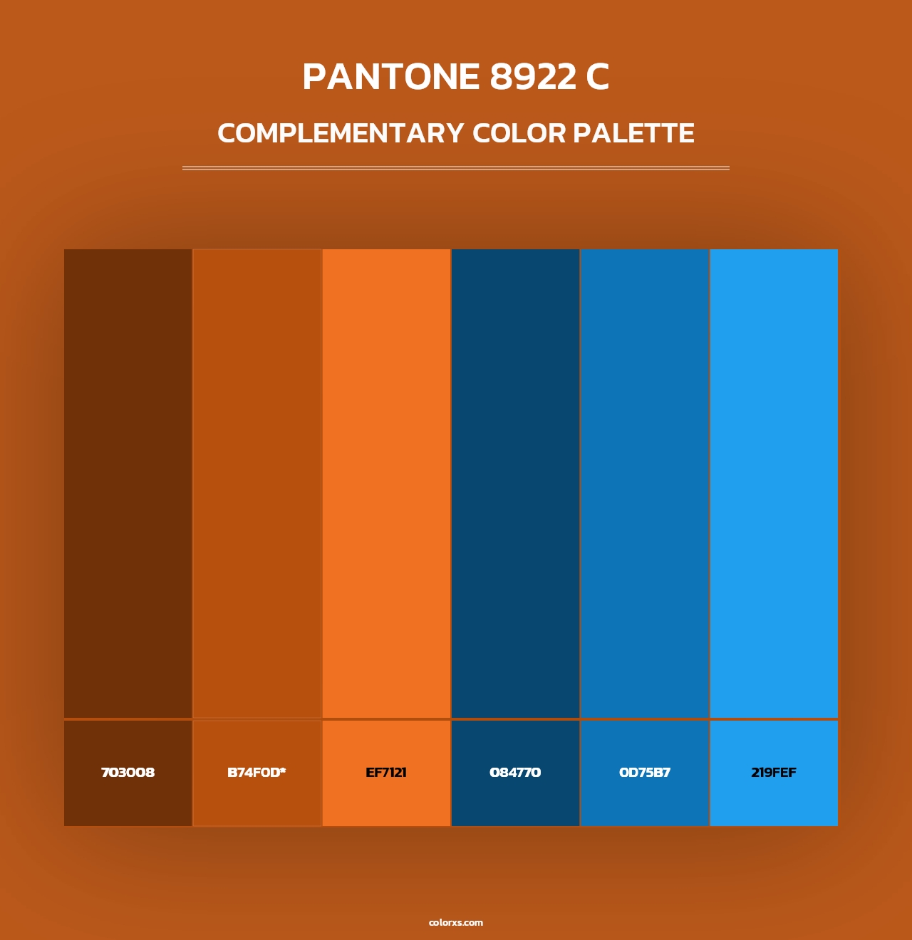 PANTONE 8922 C - Complementary Color Palette
