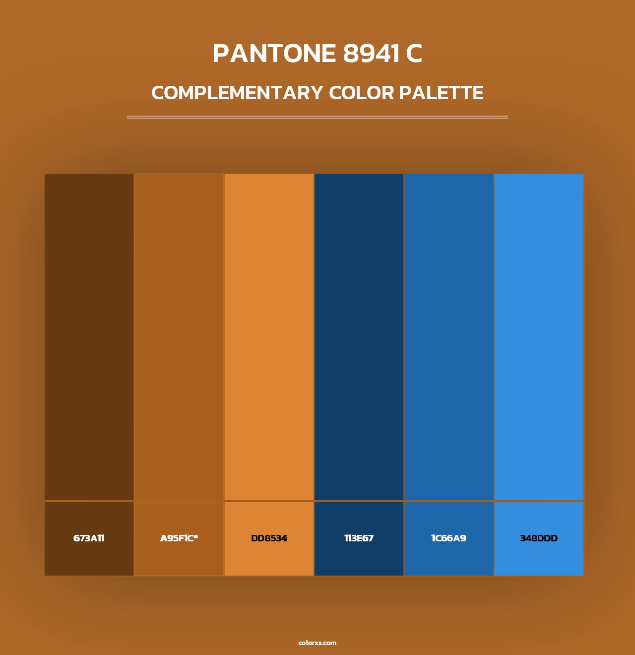 PANTONE 8941 C - Complementary Color Palette