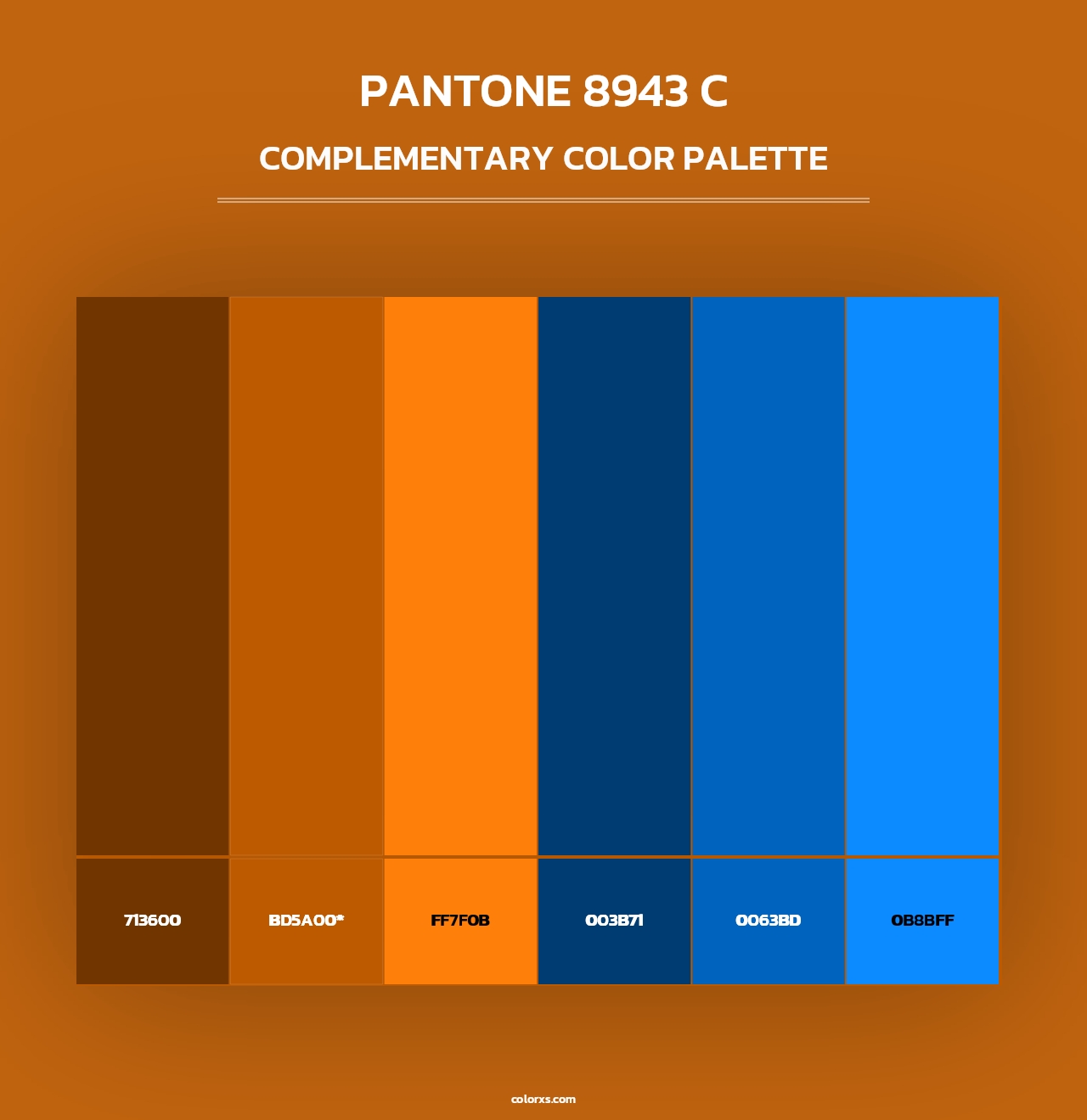PANTONE 8943 C - Complementary Color Palette