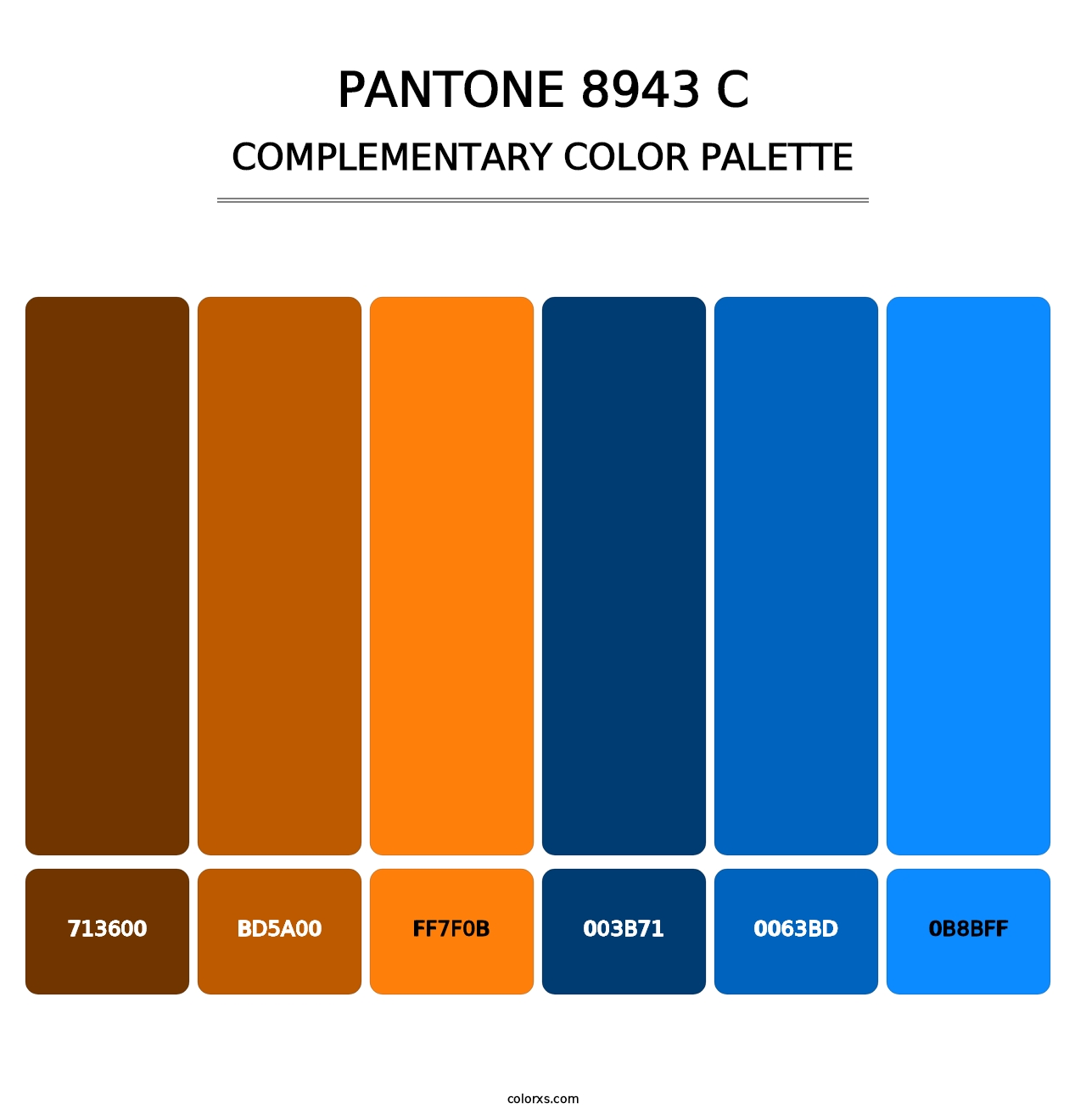 PANTONE 8943 C - Complementary Color Palette