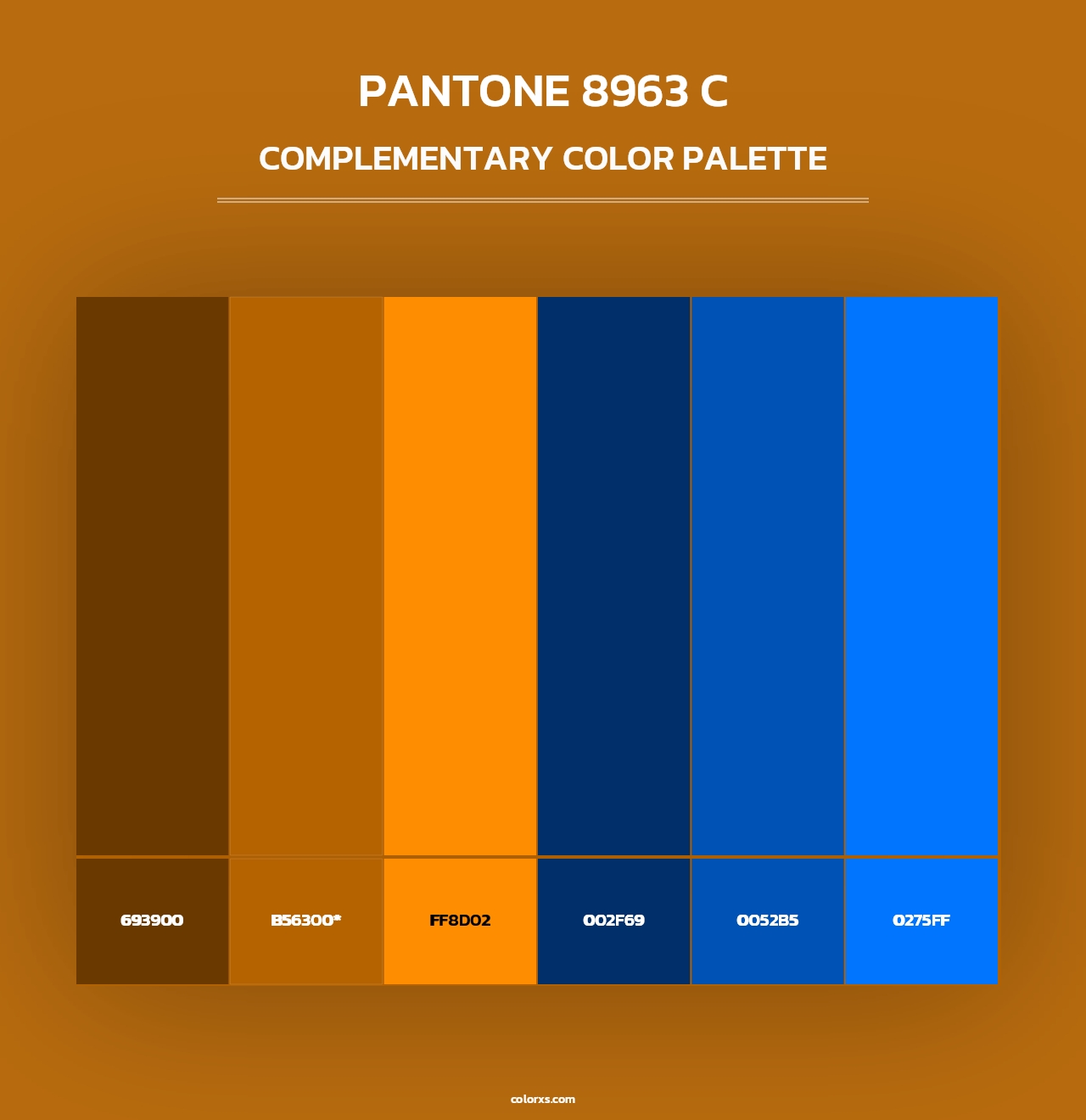 PANTONE 8963 C - Complementary Color Palette