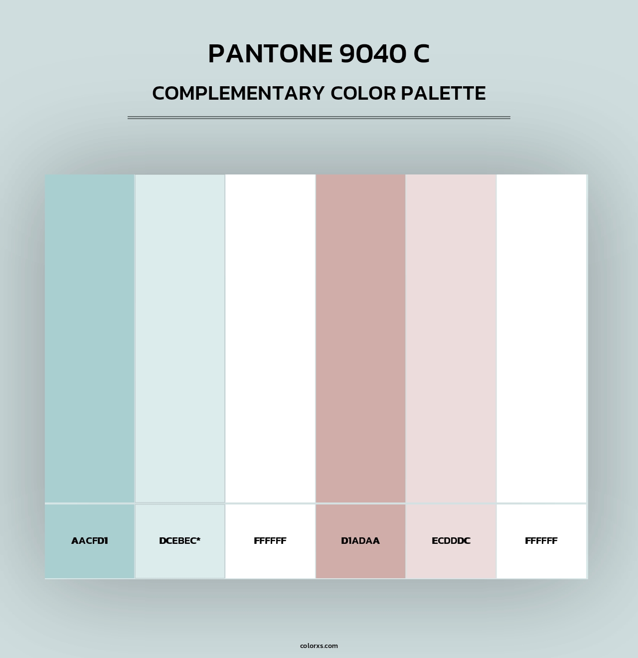 PANTONE 9040 C - Complementary Color Palette