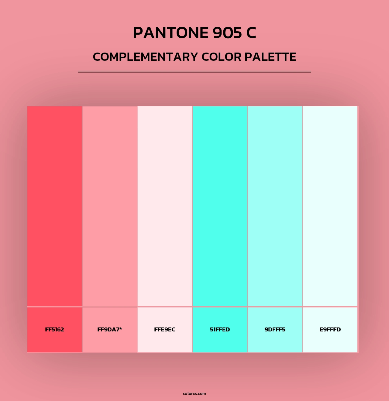 PANTONE 905 C - Complementary Color Palette