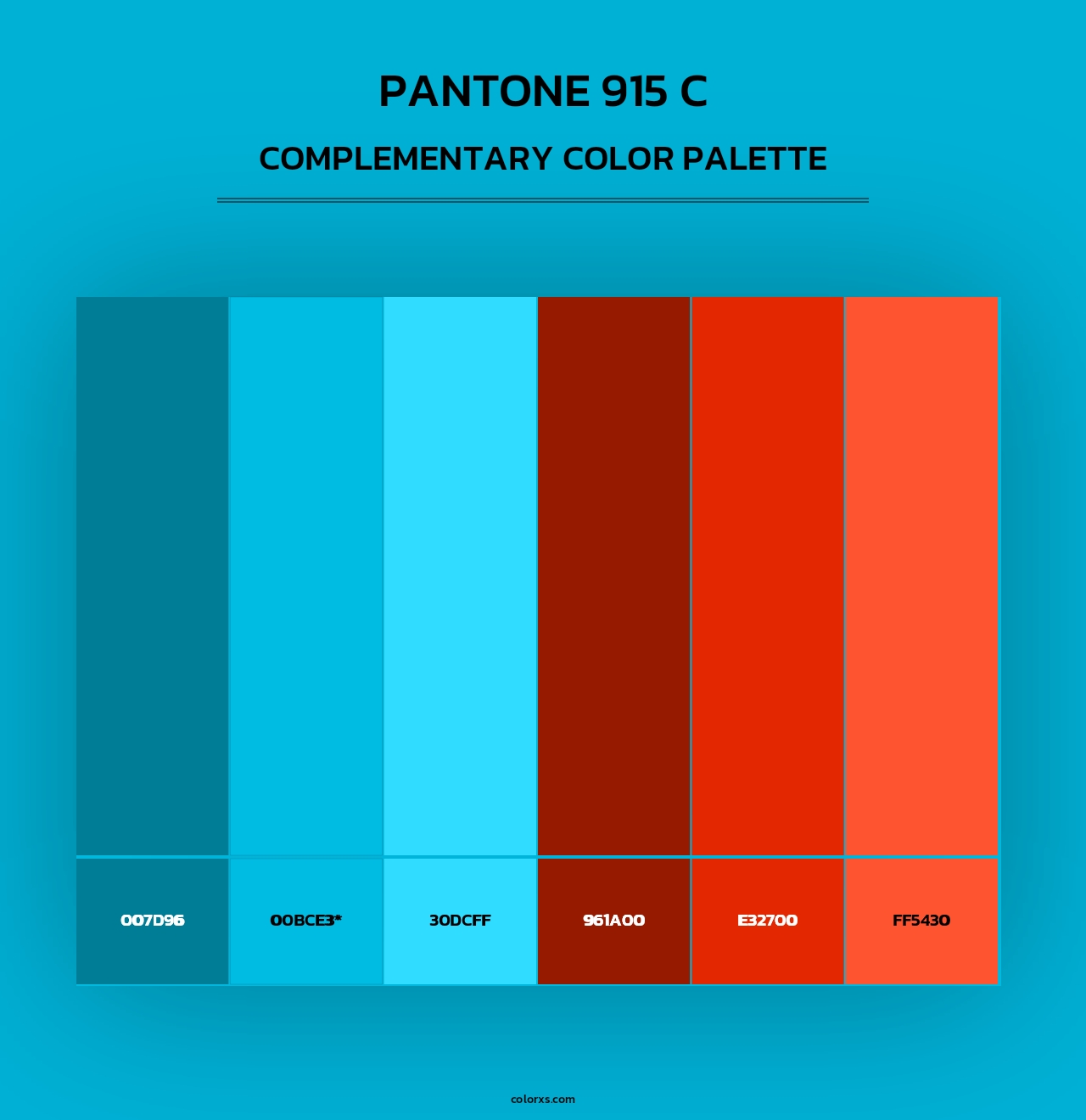 PANTONE 915 C - Complementary Color Palette