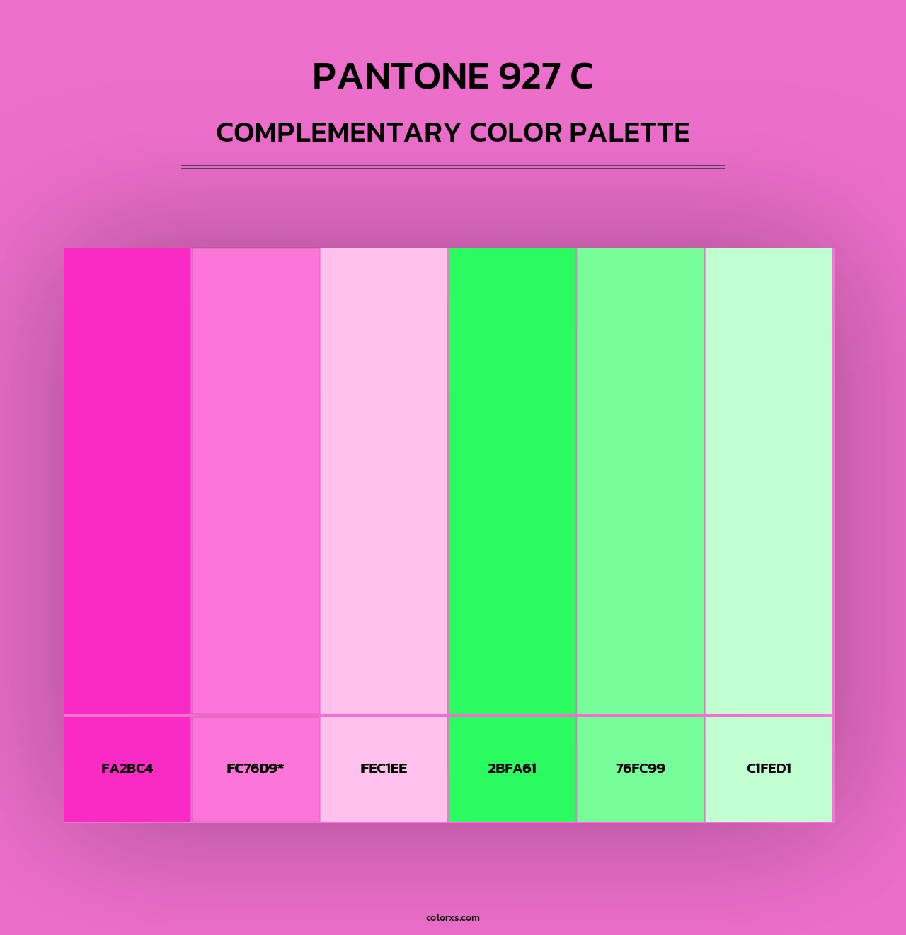 PANTONE 927 C - Complementary Color Palette