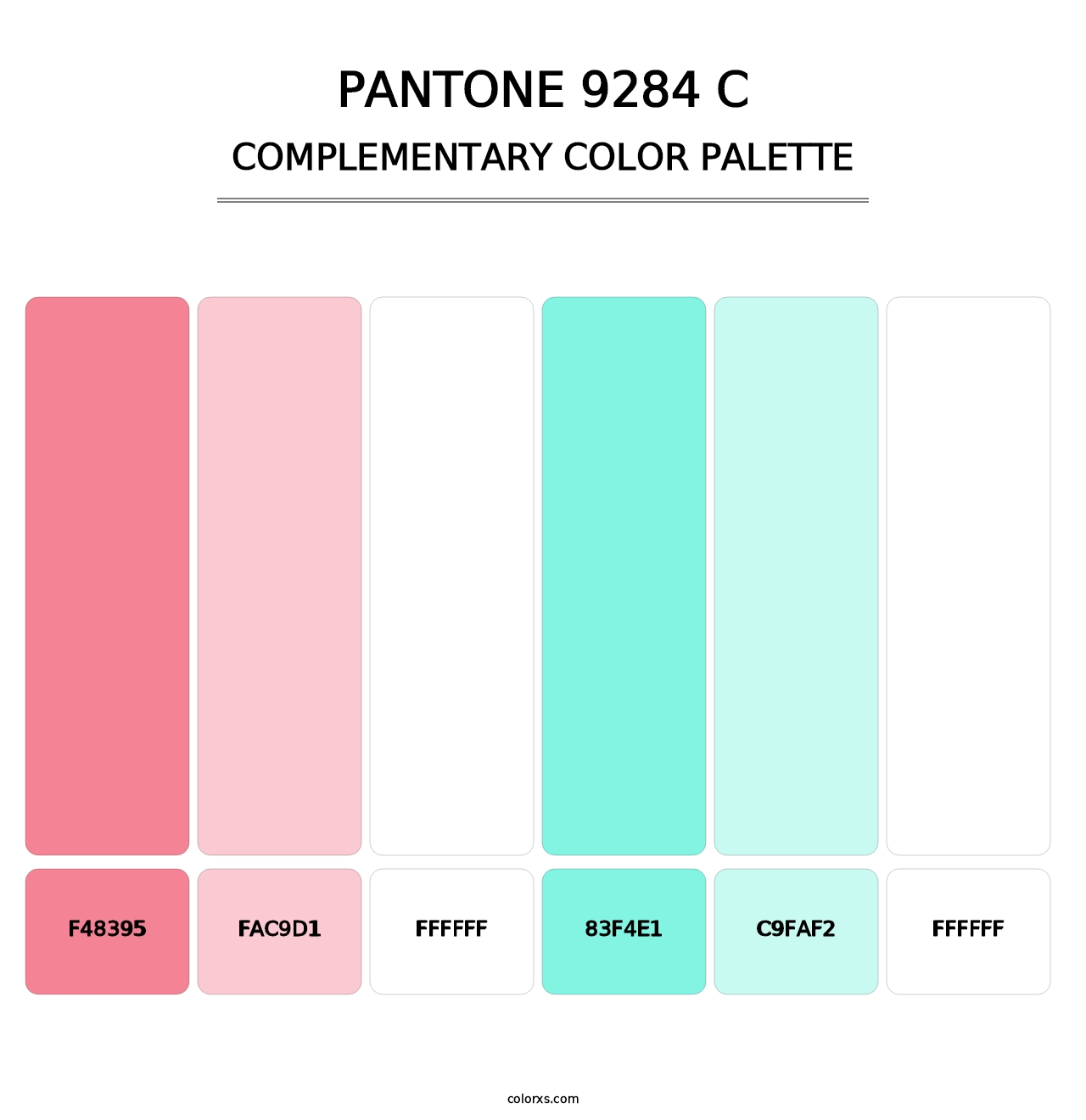 PANTONE 9284 C - Complementary Color Palette