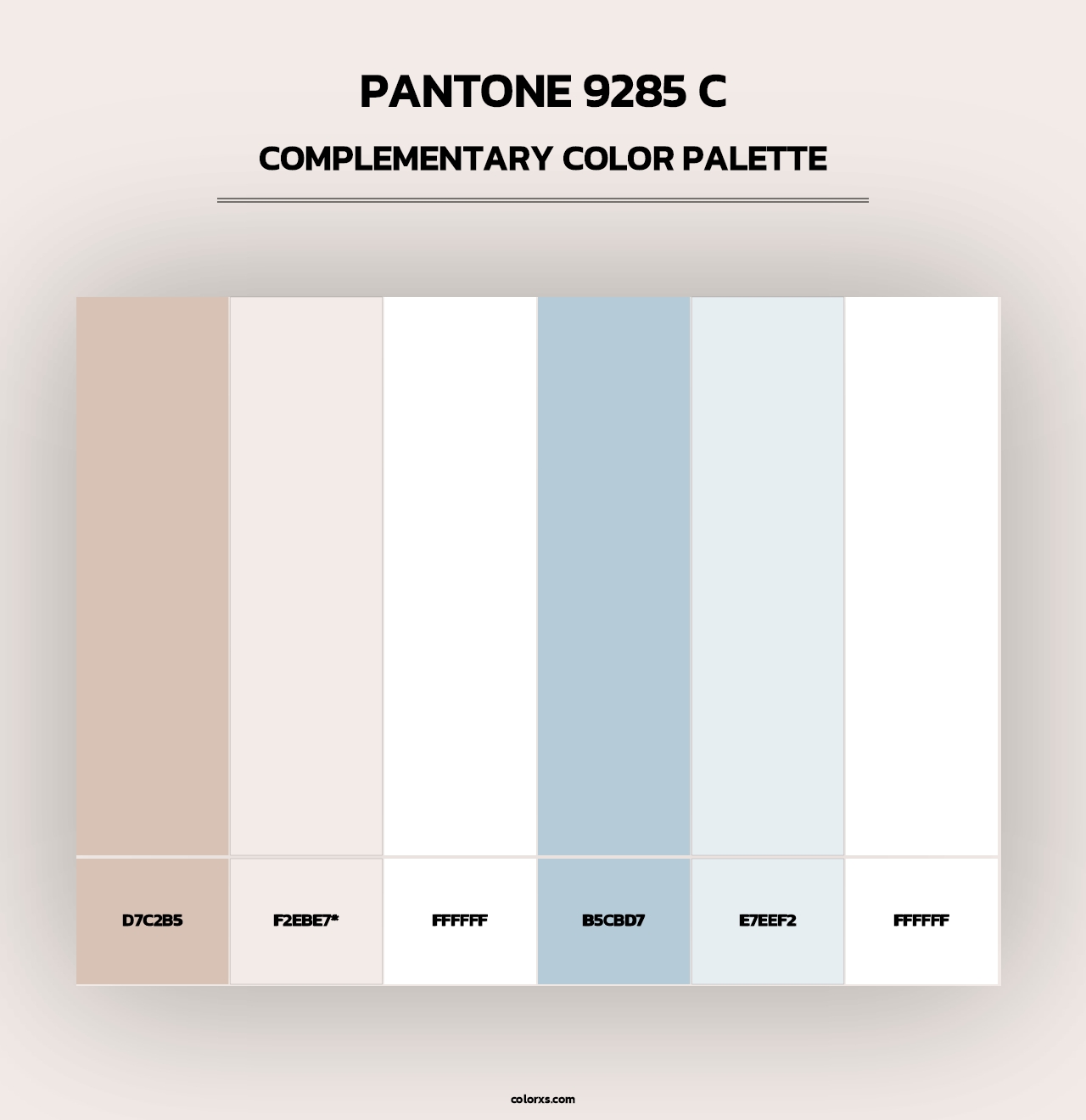 PANTONE 9285 C - Complementary Color Palette