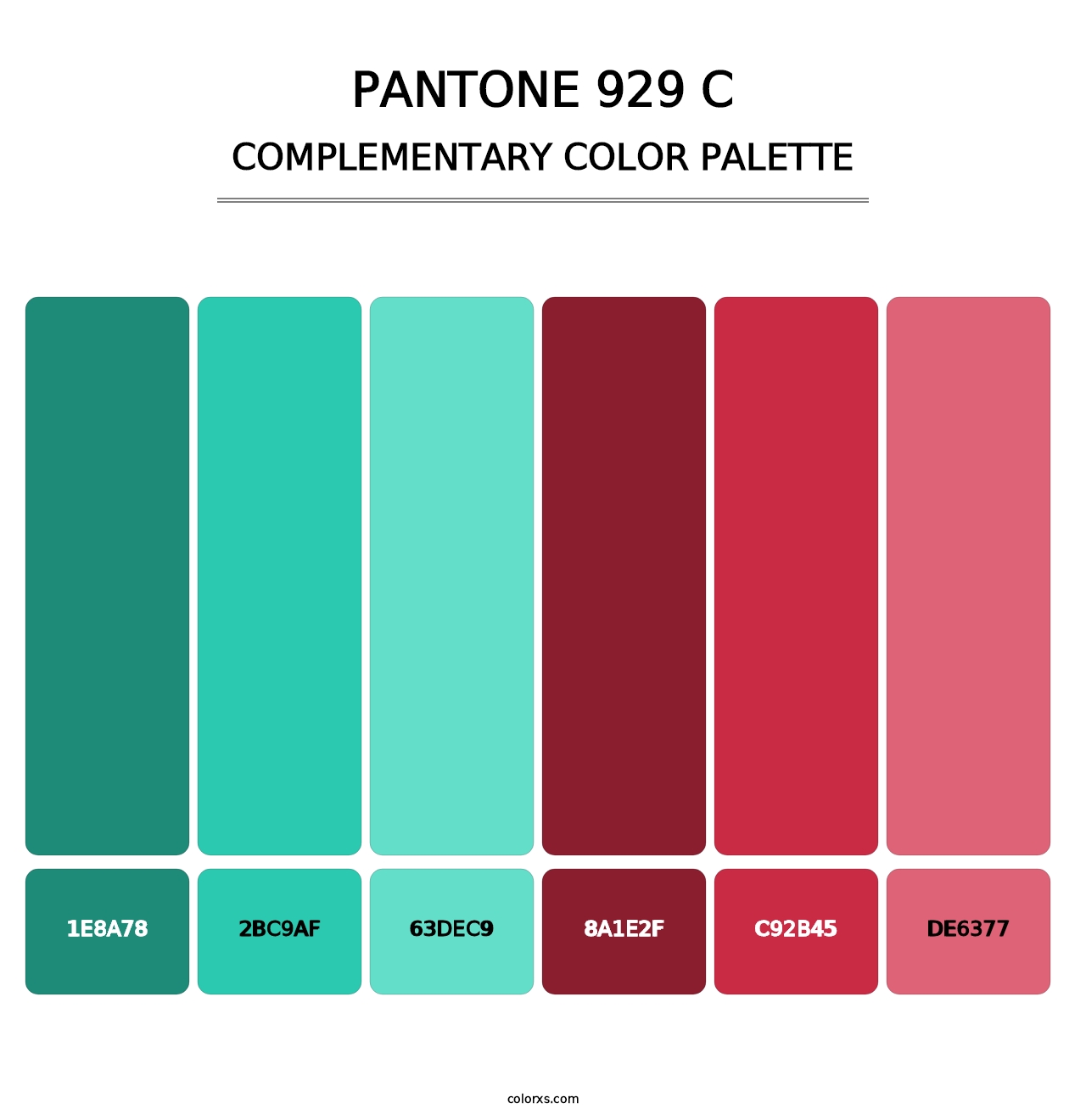 PANTONE 929 C - Complementary Color Palette