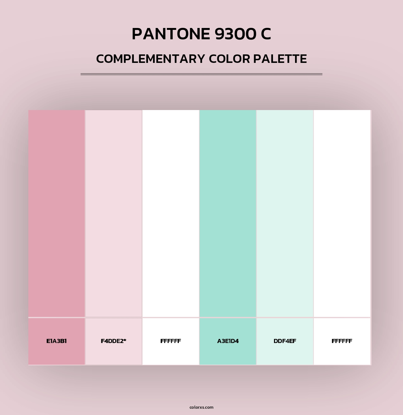 PANTONE 9300 C - Complementary Color Palette