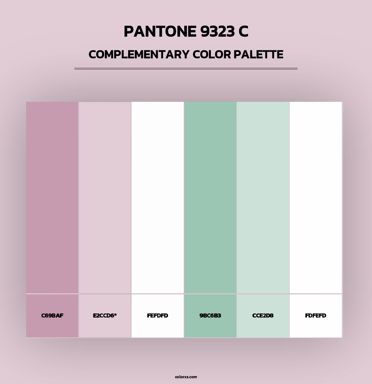 PANTONE 9323 C - Complementary Color Palette