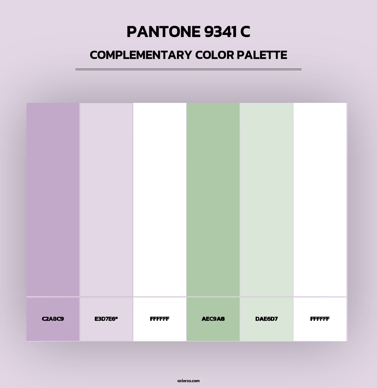 PANTONE 9341 C - Complementary Color Palette