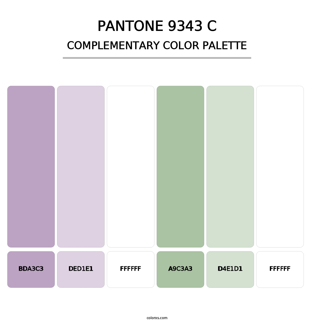 PANTONE 9343 C - Complementary Color Palette