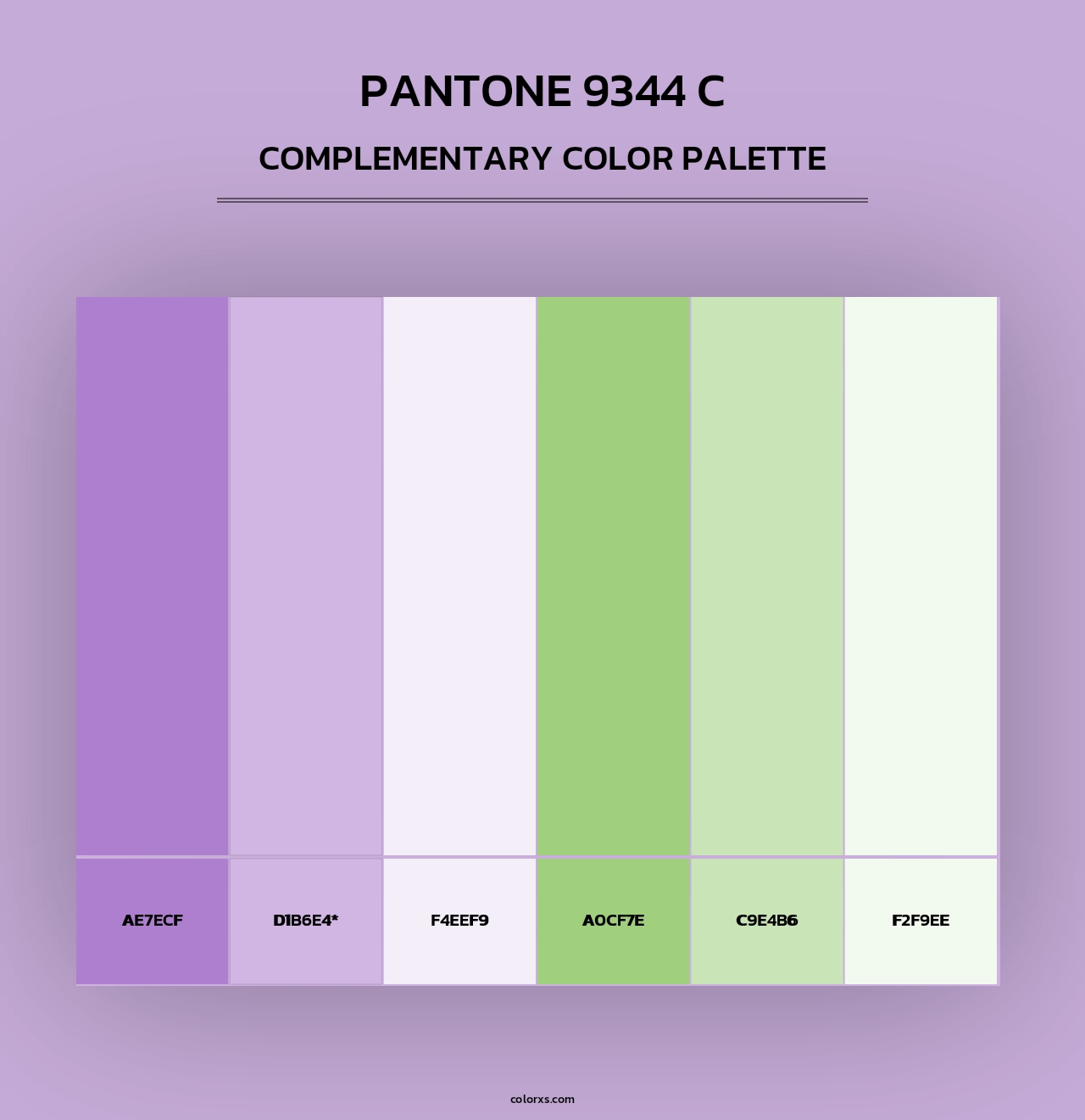PANTONE 9344 C - Complementary Color Palette