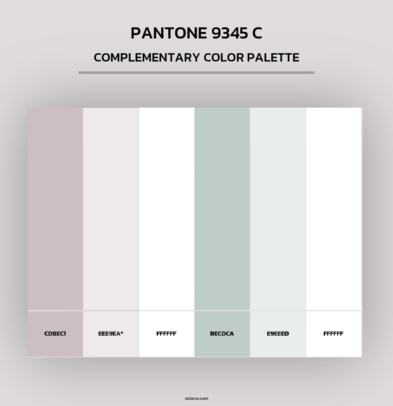 PANTONE 9345 C - Complementary Color Palette
