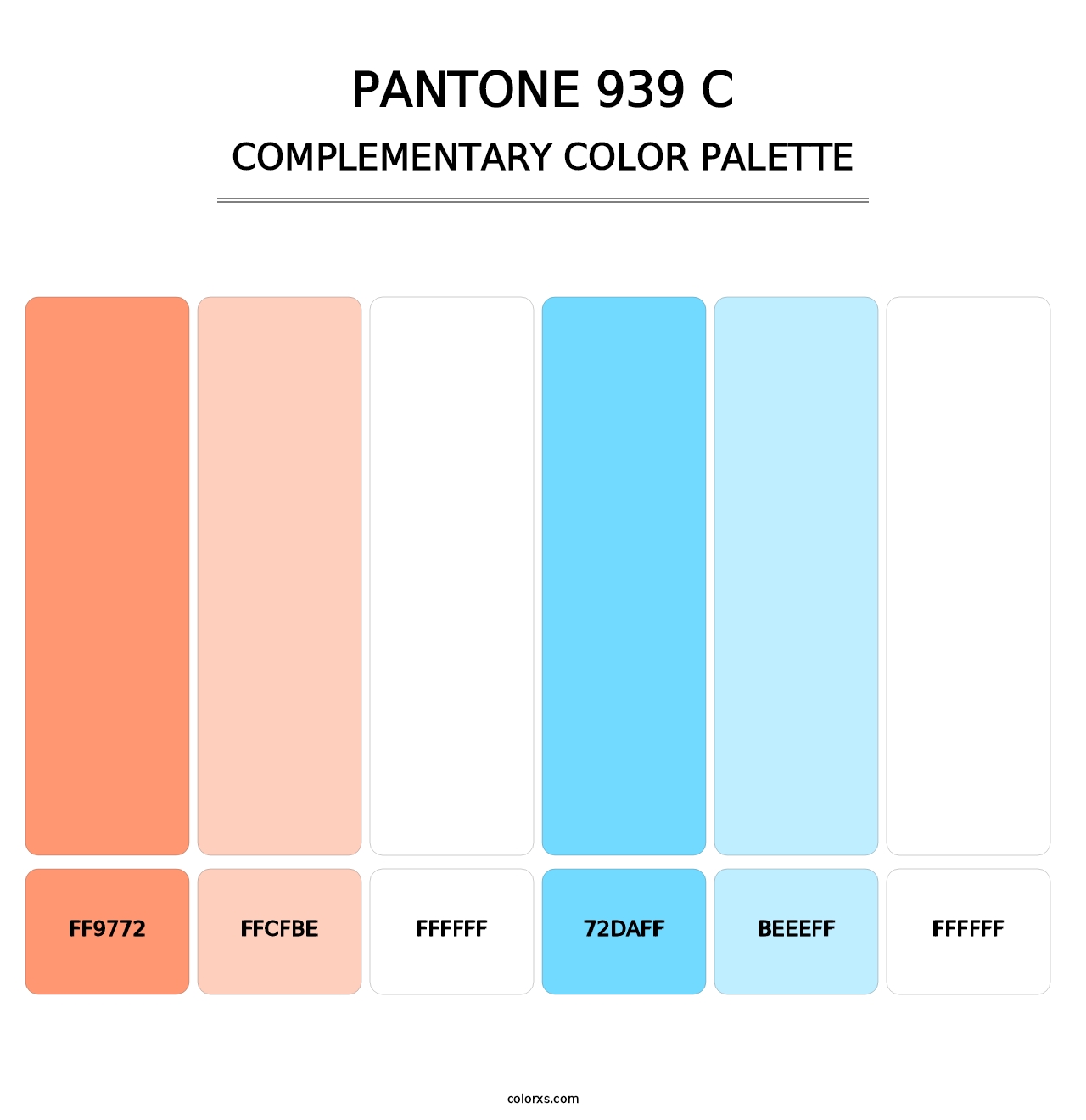 PANTONE 939 C - Complementary Color Palette