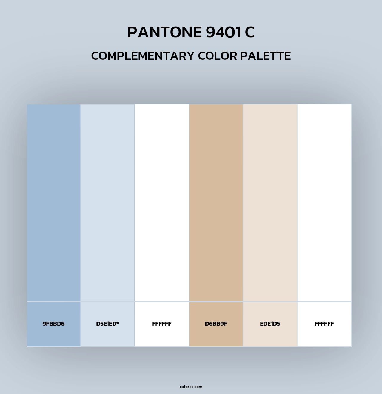 PANTONE 9401 C - Complementary Color Palette