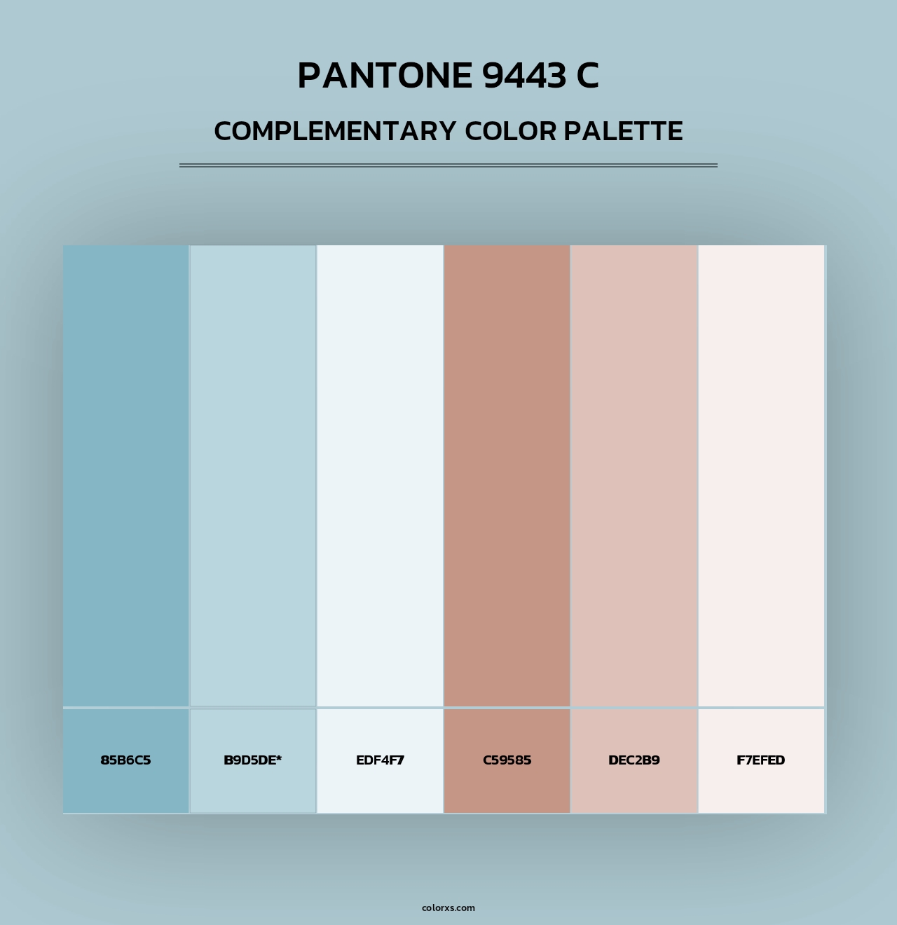 PANTONE 9443 C - Complementary Color Palette