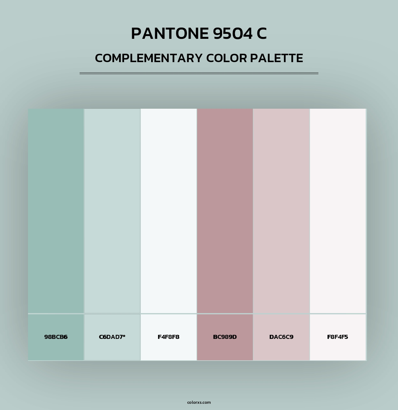 PANTONE 9504 C - Complementary Color Palette