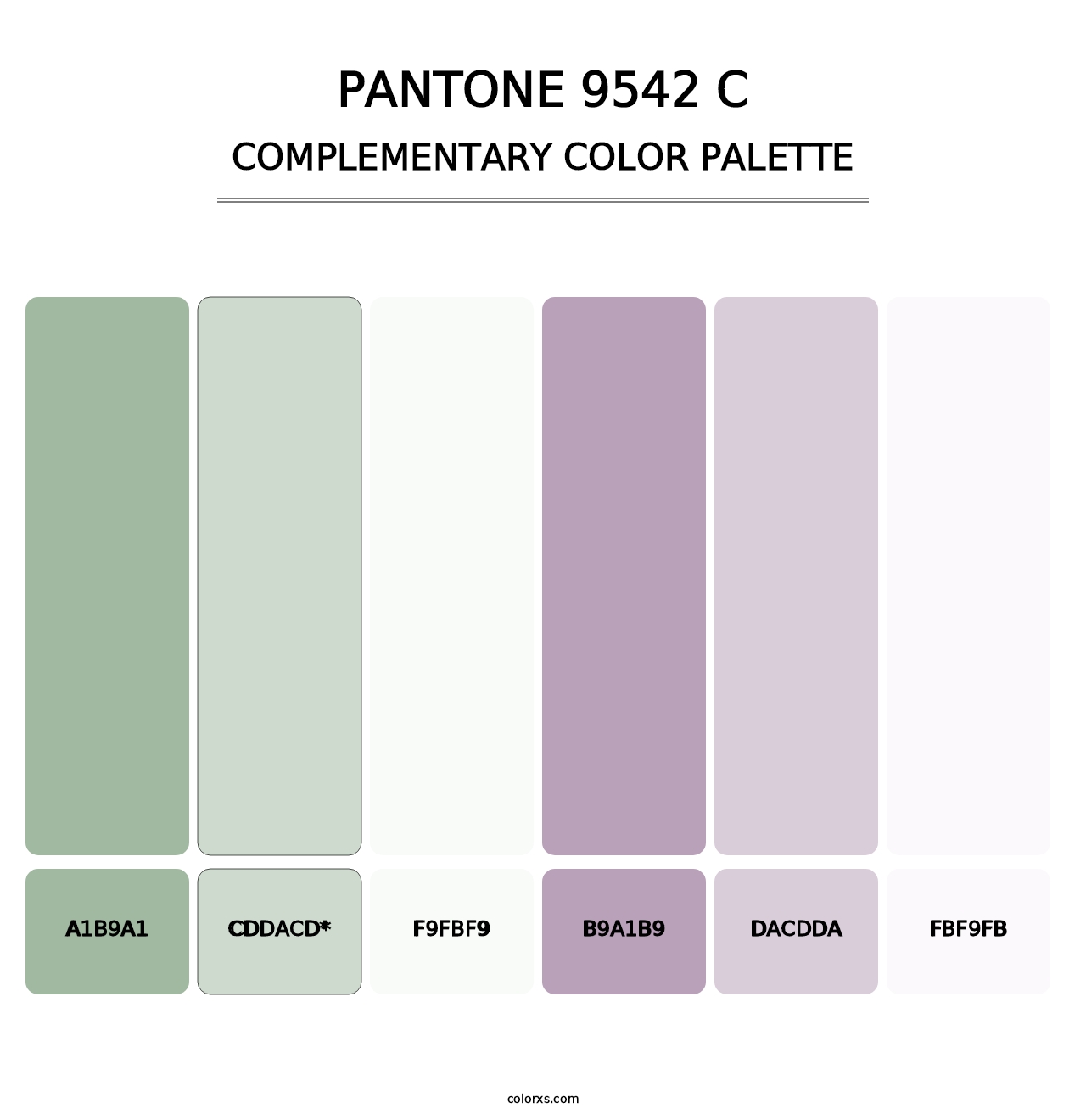 PANTONE 9542 C - Complementary Color Palette