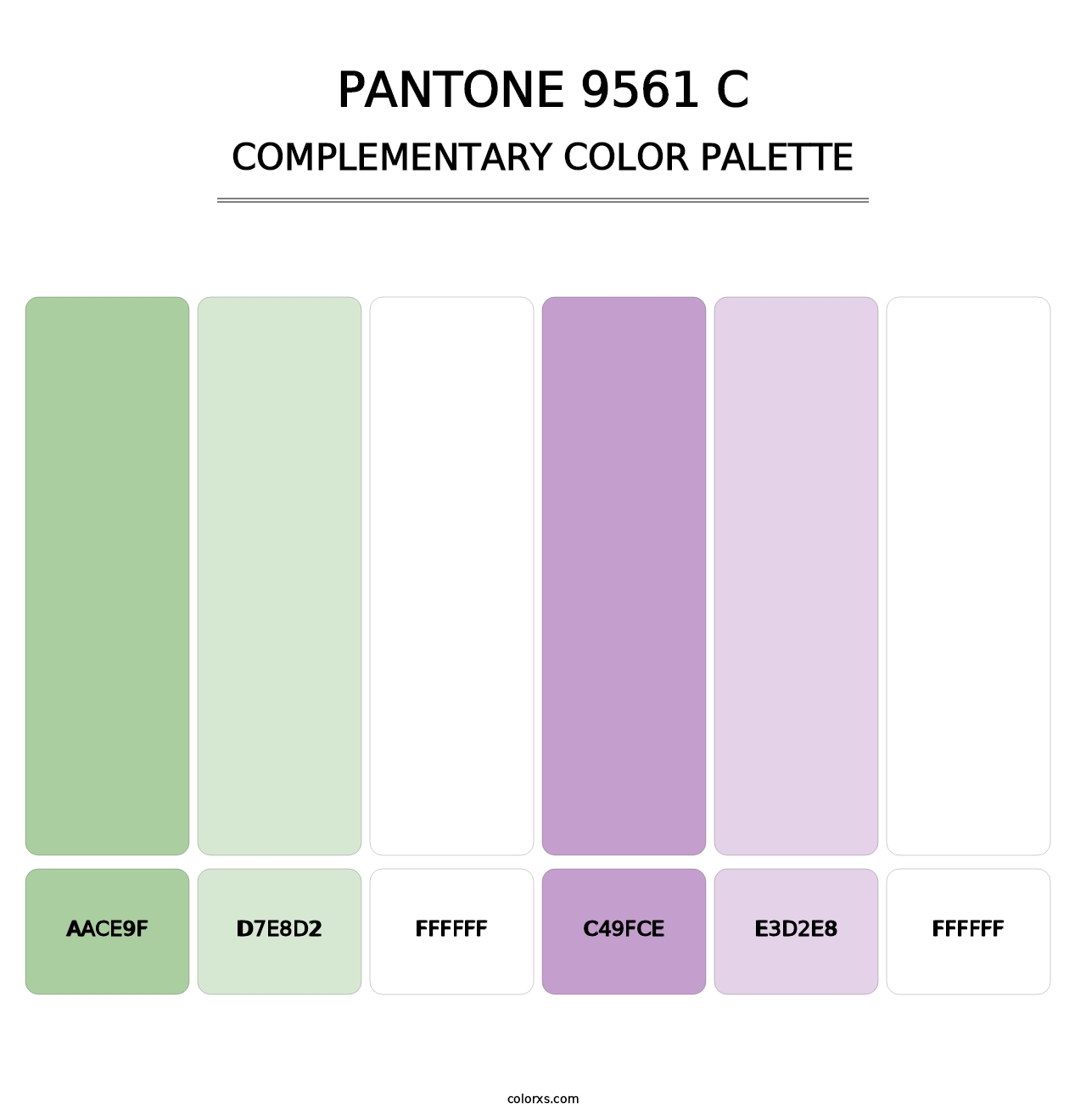 PANTONE 9561 C - Complementary Color Palette