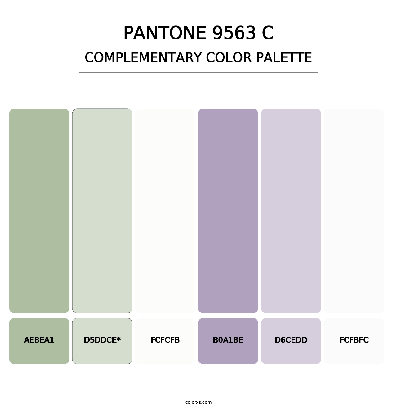 PANTONE 9563 C - Complementary Color Palette
