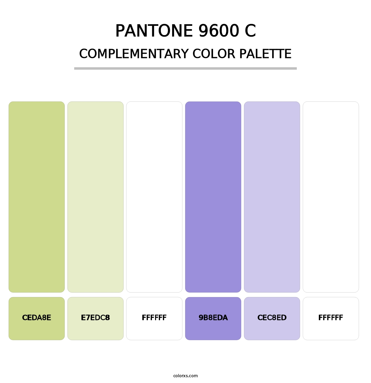 PANTONE 9600 C - Complementary Color Palette