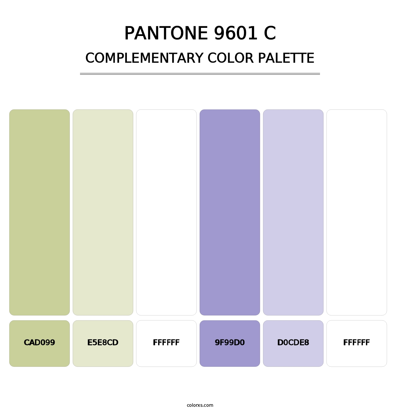 PANTONE 9601 C - Complementary Color Palette