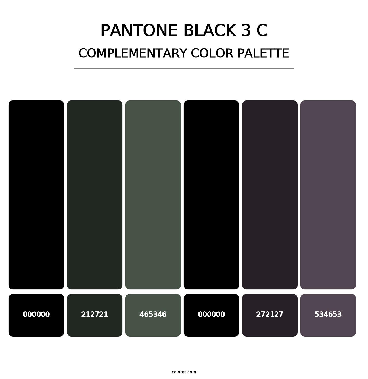 PANTONE Black 3 C - Complementary Color Palette