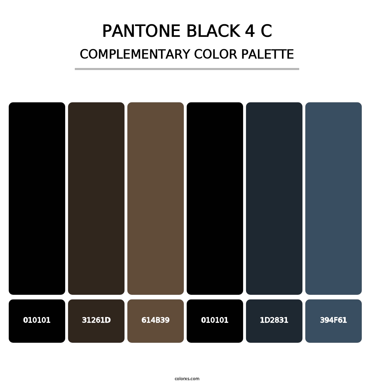 PANTONE Black 4 C - Complementary Color Palette