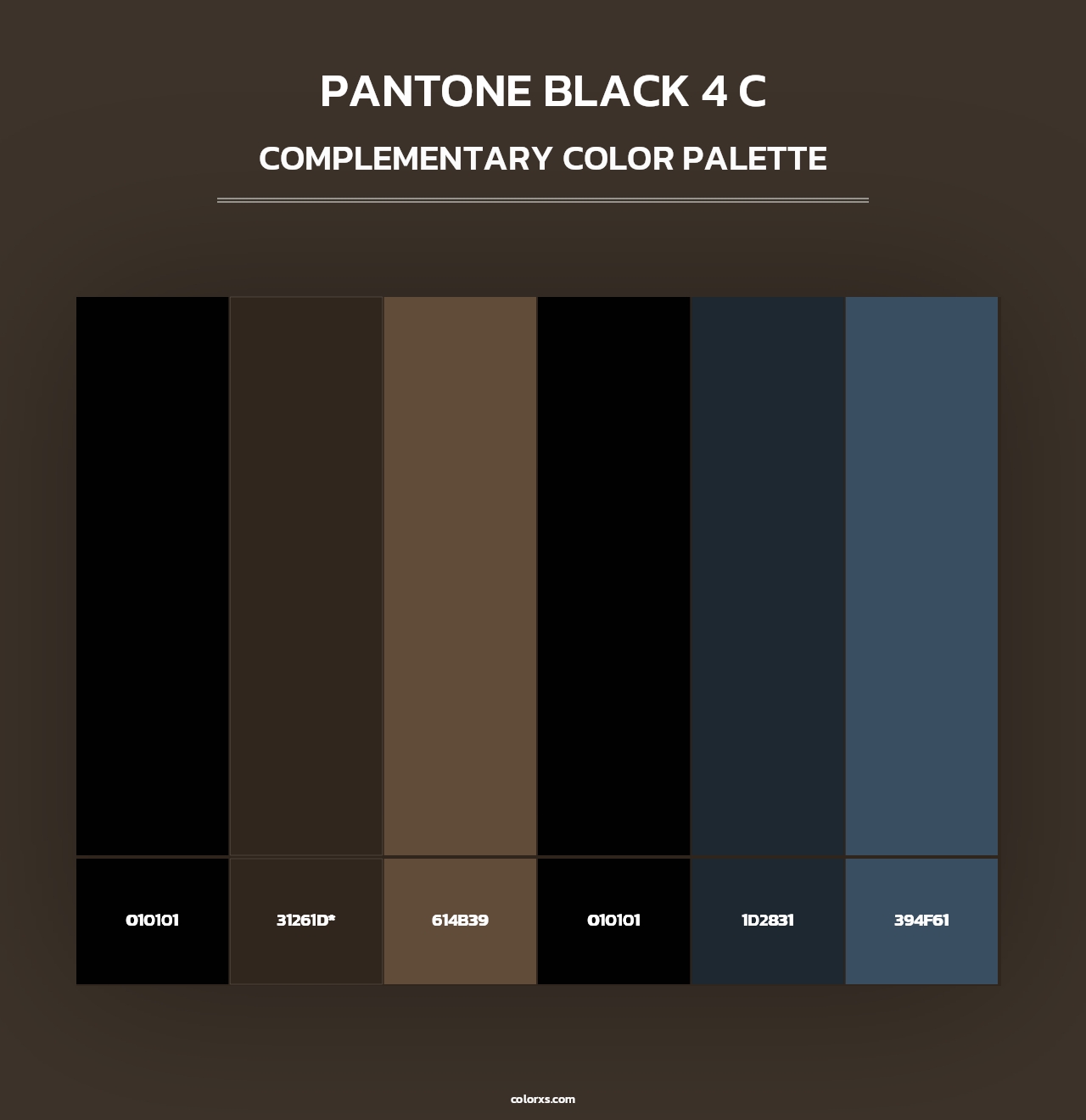PANTONE Black 4 C - Complementary Color Palette
