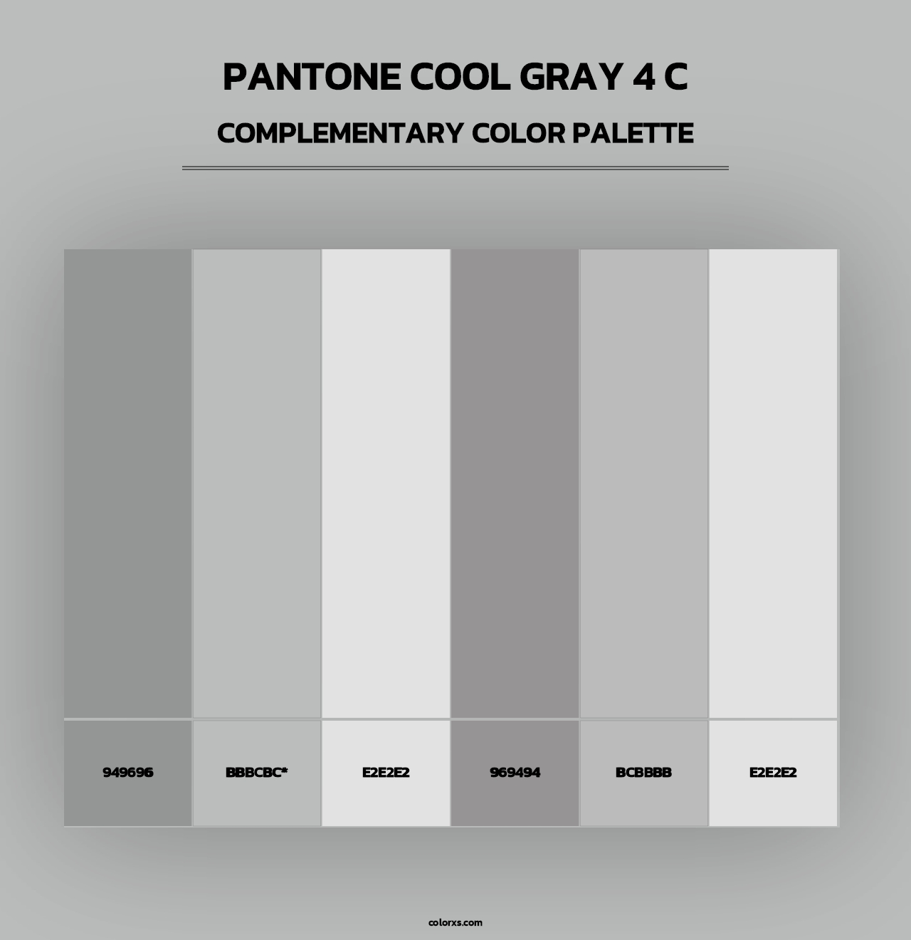 PANTONE Cool Gray 4 C - Complementary Color Palette