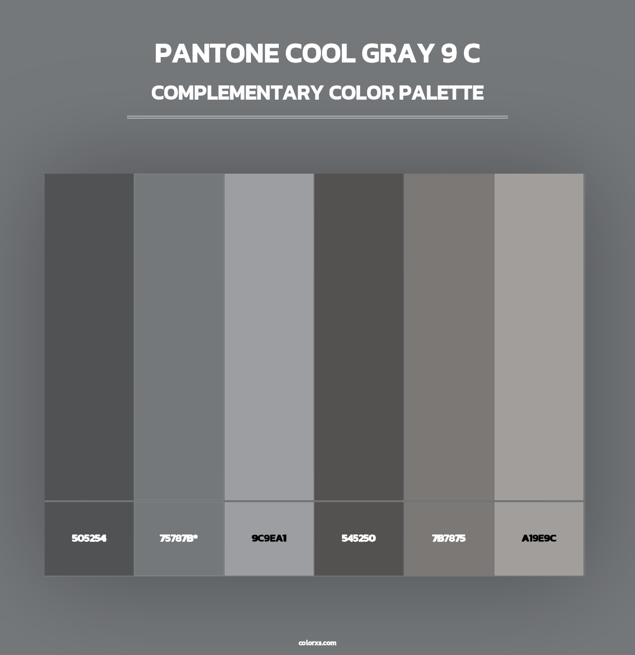 PANTONE Cool Gray 9 C - Complementary Color Palette