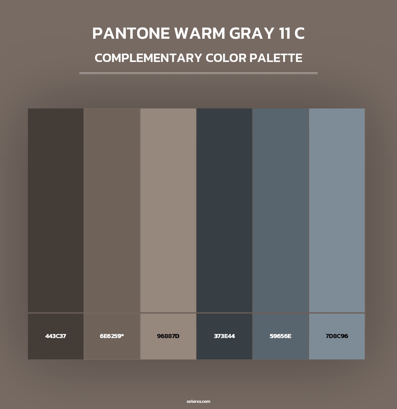PANTONE Warm Gray 11 C - Complementary Color Palette