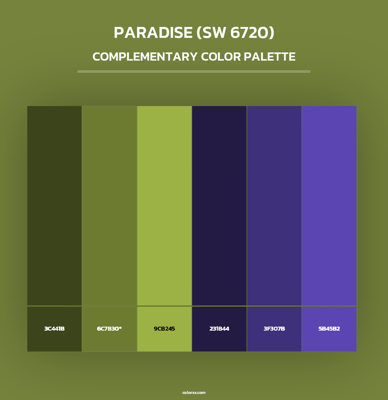 Paradise (SW 6720) - Complementary Color Palette