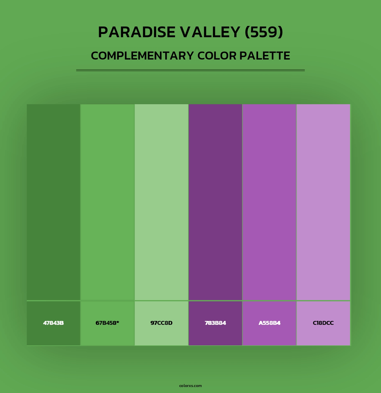 Paradise Valley (559) - Complementary Color Palette