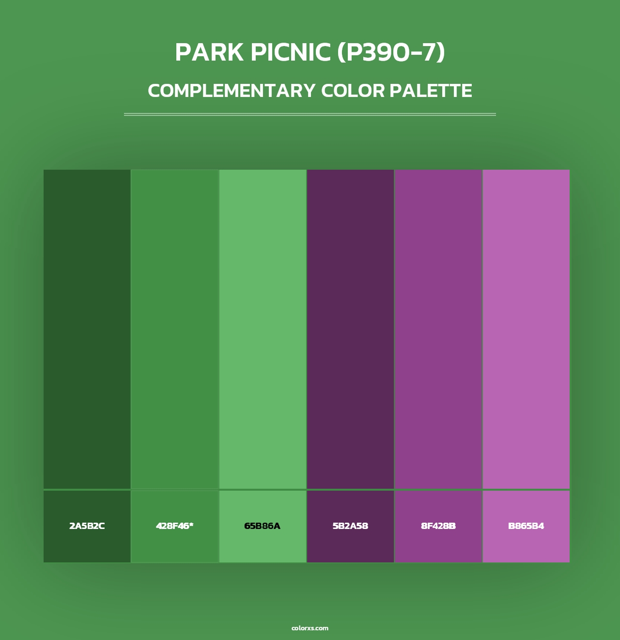 Park Picnic (P390-7) - Complementary Color Palette
