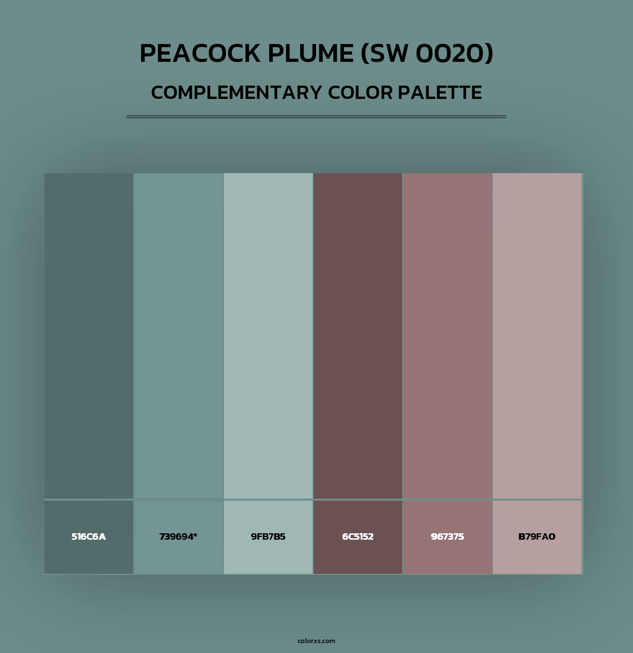 Peacock Plume (SW 0020) - Complementary Color Palette