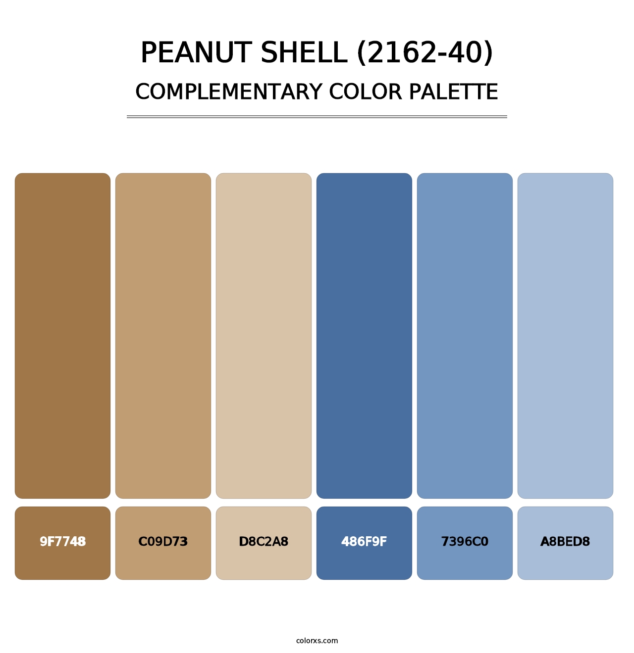 Peanut Shell (2162-40) - Complementary Color Palette