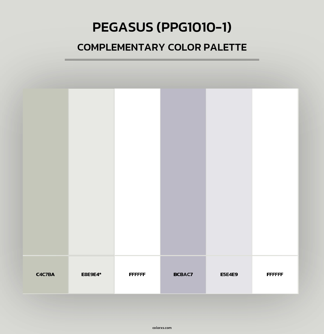 Pegasus (PPG1010-1) - Complementary Color Palette