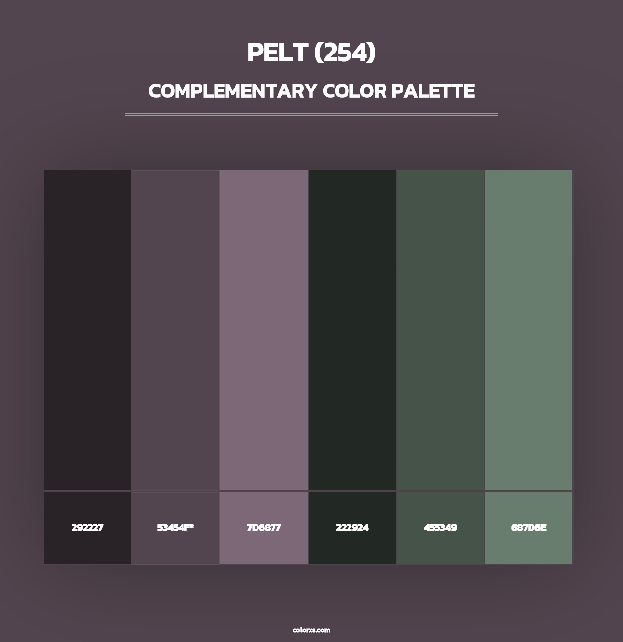 Pelt (254) - Complementary Color Palette