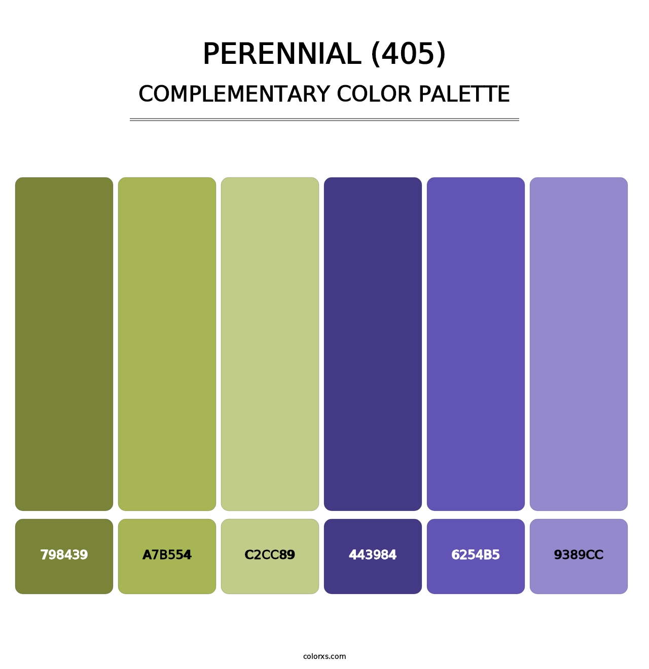 Perennial (405) - Complementary Color Palette