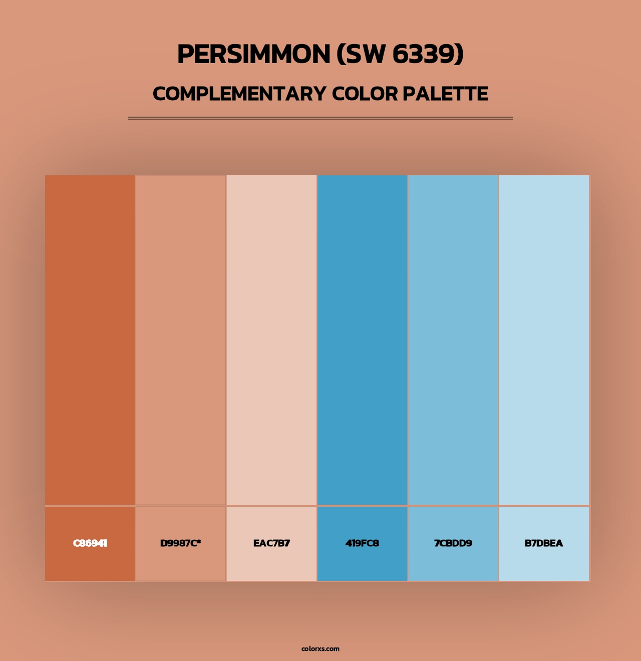 Persimmon (SW 6339) - Complementary Color Palette