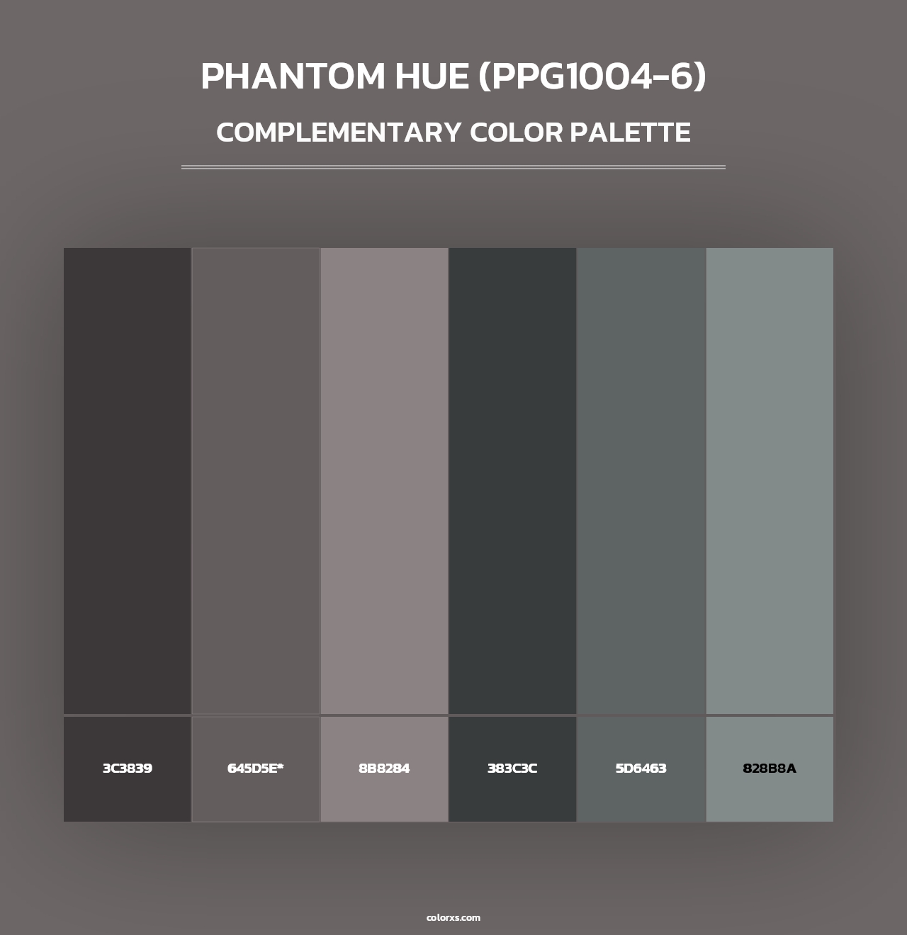 Phantom Hue (PPG1004-6) - Complementary Color Palette