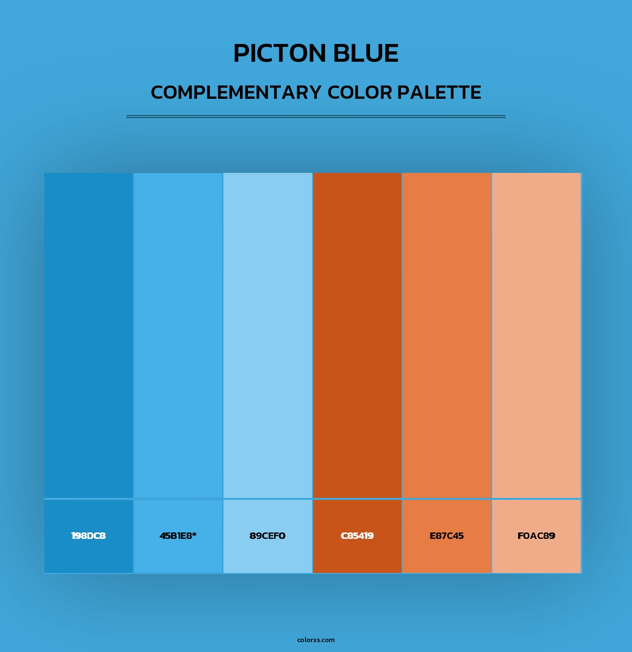Picton Blue - Complementary Color Palette
