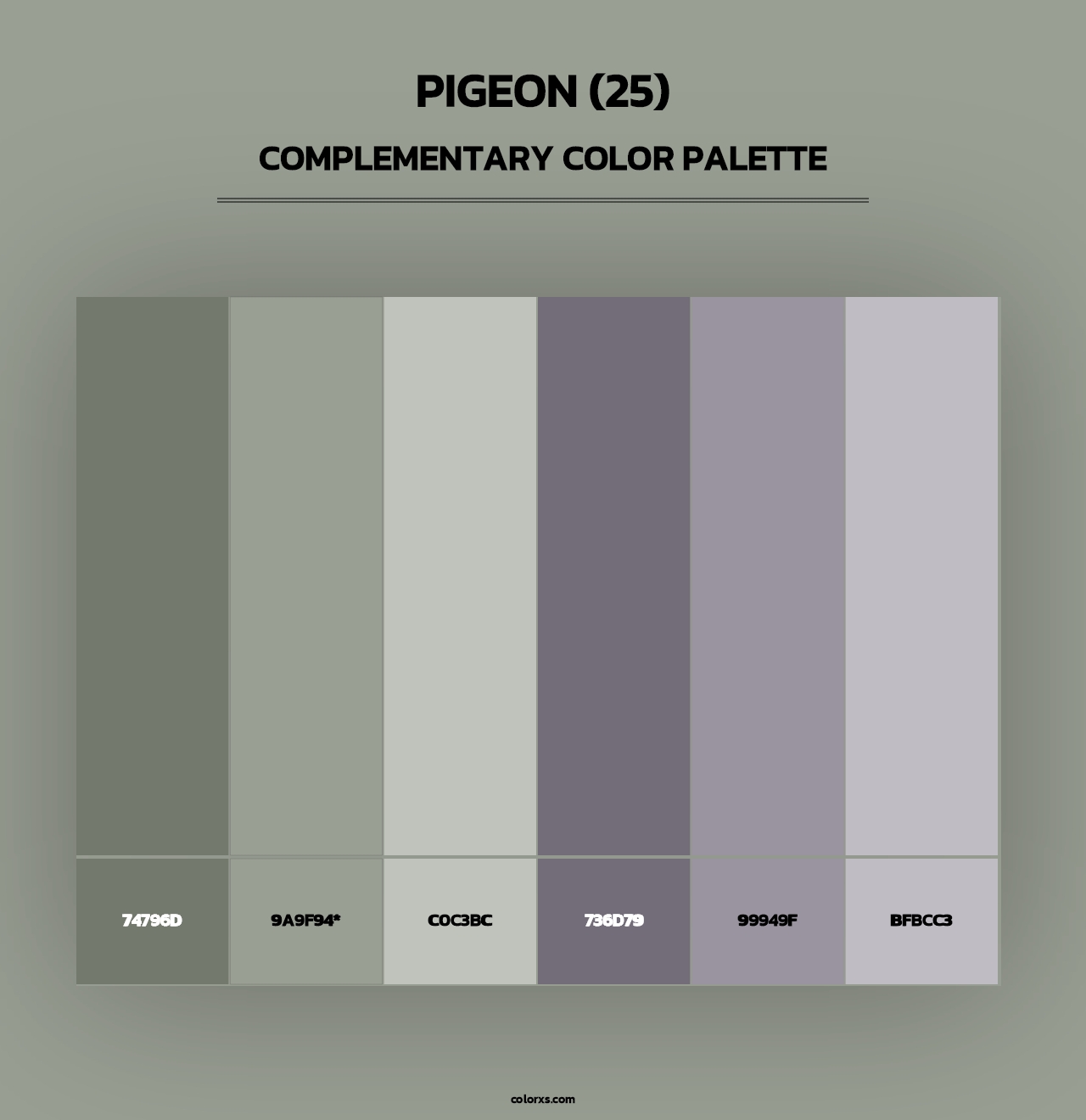 Pigeon (25) - Complementary Color Palette