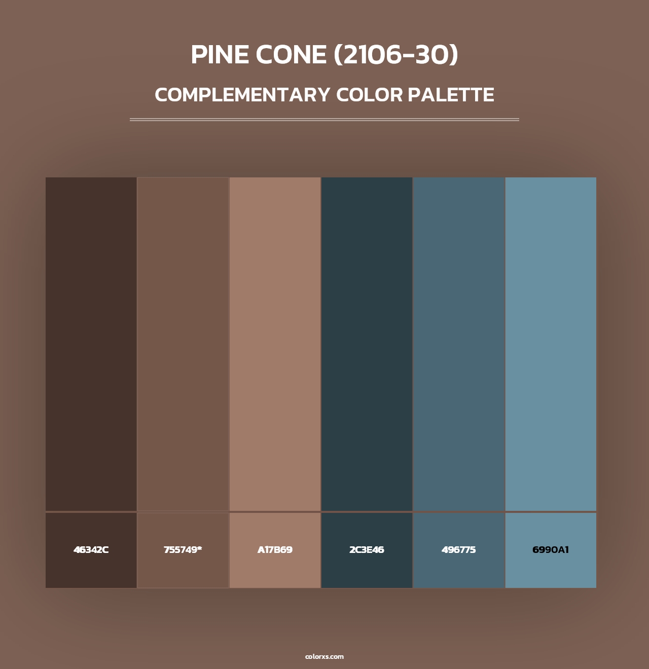 Pine Cone (2106-30) - Complementary Color Palette